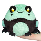 mini_poison_frog.avif