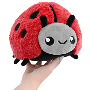 mini_squish_ladybug_7.jpg