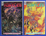 Teenage Mutant Ninja Turtles #1-108 + Extras Lot of 106 VF/NM