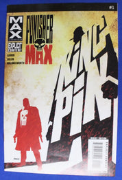 Punisher Max 2010 Series Lot of 14 Comics + Get Castle VF