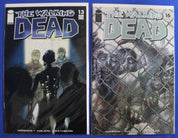 The Walking Dead Lot of 256 VF-VF/NM