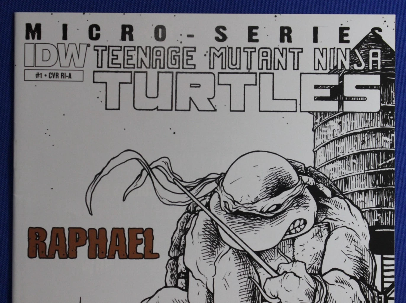 Teenage Mutant Ninja Turtles Micro-Series 1:10 Variant VF/NM