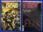 The Walking Dead Lot of 256 VF-VF/NM