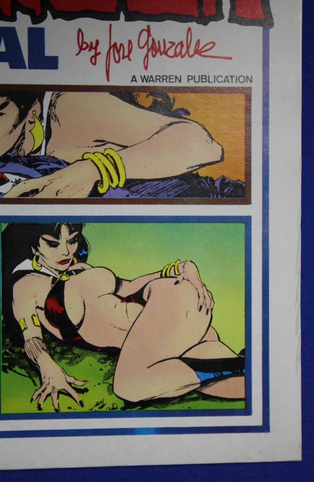 Vampirella Special by Jose Gonzalez (1977) - VF- (7.5)