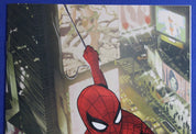 Amazing Spider Man: Torn #1 1:100 Adam Hughes Virgin Variant