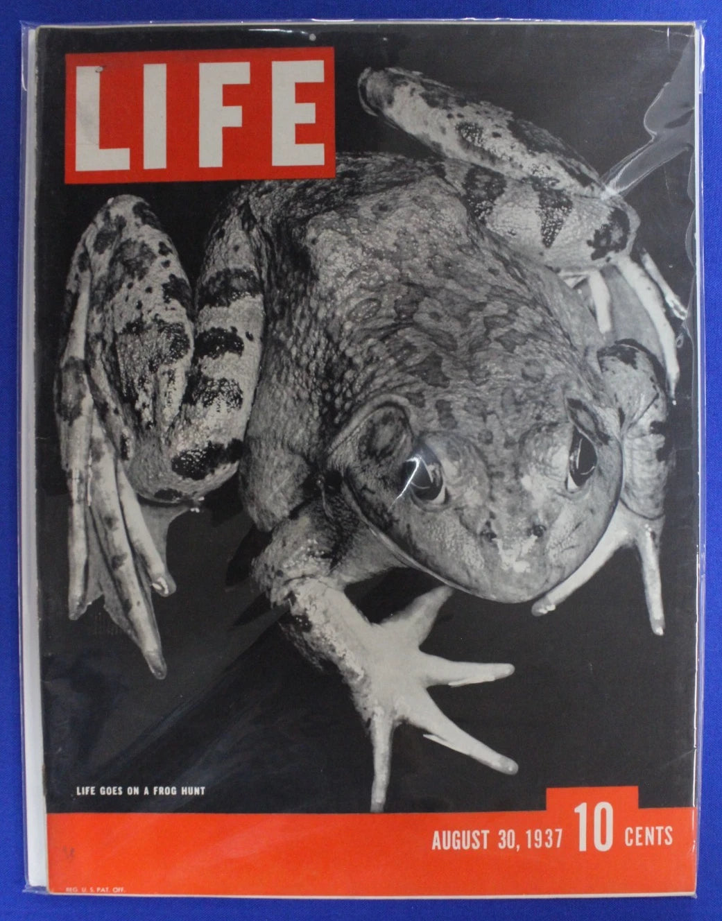 Life Magazine 1930s Lot of 66 GD-VG