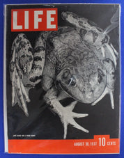 Life Magazine 1930s Lot of 66 GD-VG