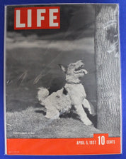 Life Magazine 1930s Lot of 66 GD-VG