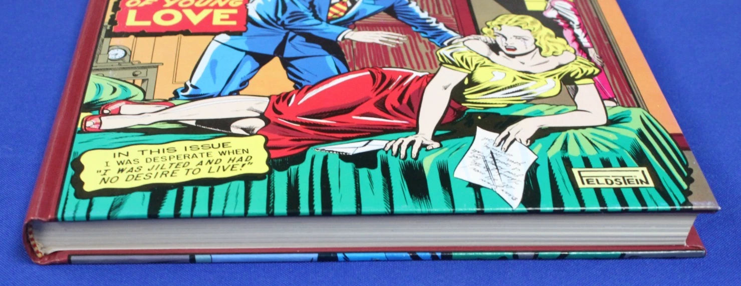 EC Comics Archive 1995 Romance + Modern Love 2 Volume Slipcase Collection
