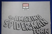 Amazing Spider Man: Torn #1 1:100 Adam Hughes Virgin Variant
