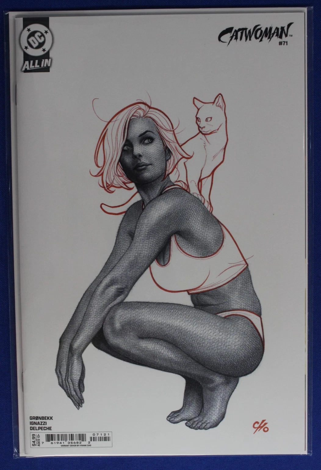 Catwoman #69-71 Frank Cho Variants Set of 3 NM