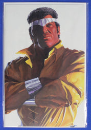 Lot of 25 Alex Ross Timeless Virgin Variants VF/NM
