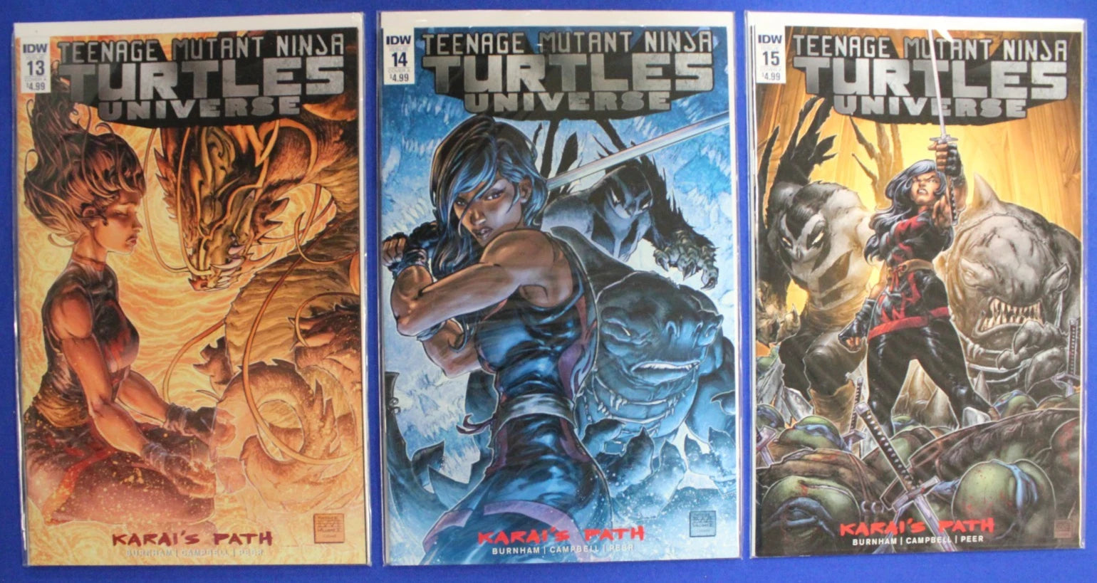 Teenage Mutant Ninja Turtles Universe #1-25 Complete Set VF/NM