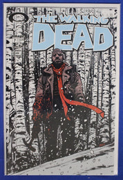 The Walking Dead Lot of 256 VF-VF/NM