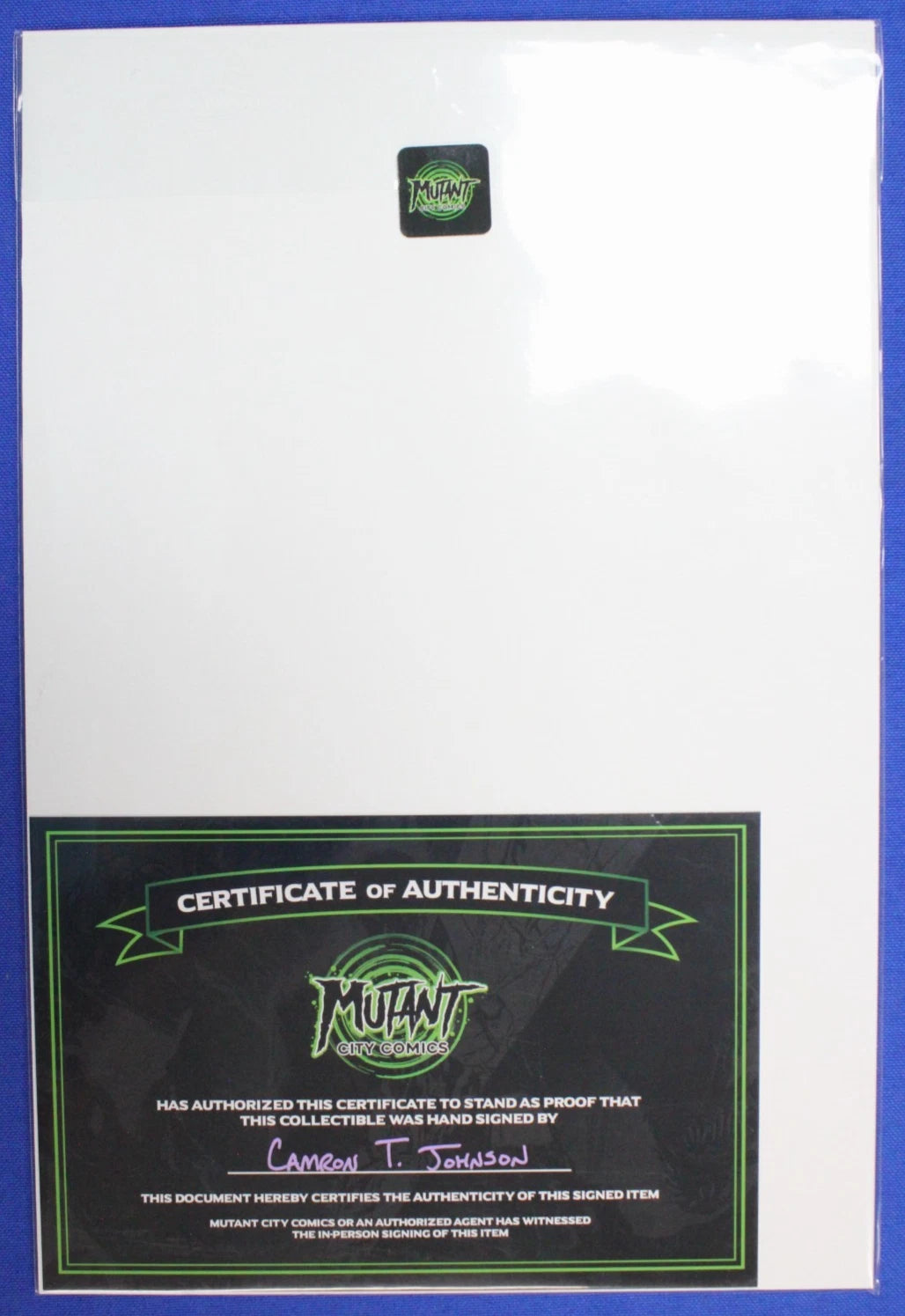 Saturday Morning Adventures TMNT Endless Summer SIGNED by Camron Johnson NM