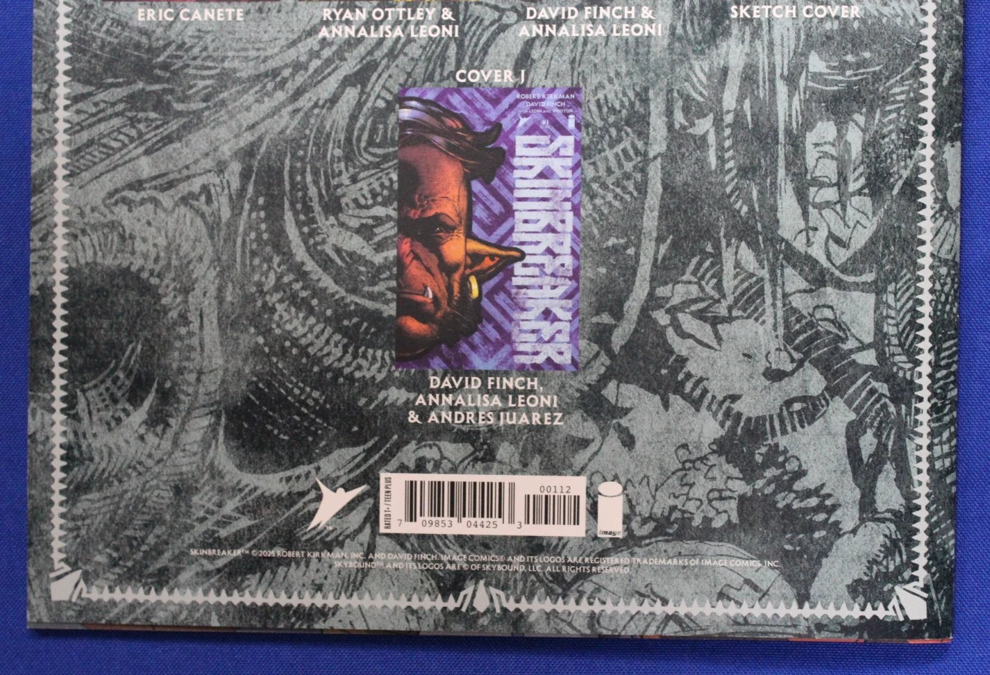 Skinbreaker #1 Treasury Edition 2nd Print VF/NM