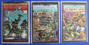 Teenage Mutant Ninja Turtles Color Classics Lot of 22 VF/NM