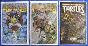 Teenage Mutant Ninja Turtles Color Classics Lot of 22 VF/NM