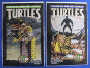 Teenage Mutant Ninja Turtles Color Classics Lot of 22 VF/NM