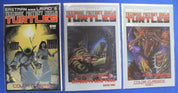 Teenage Mutant Ninja Turtles Color Classics Lot of 22 VF/NM