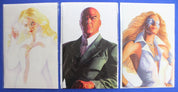 Alex Ross Timeless Variant Lot of 12 VF/NM