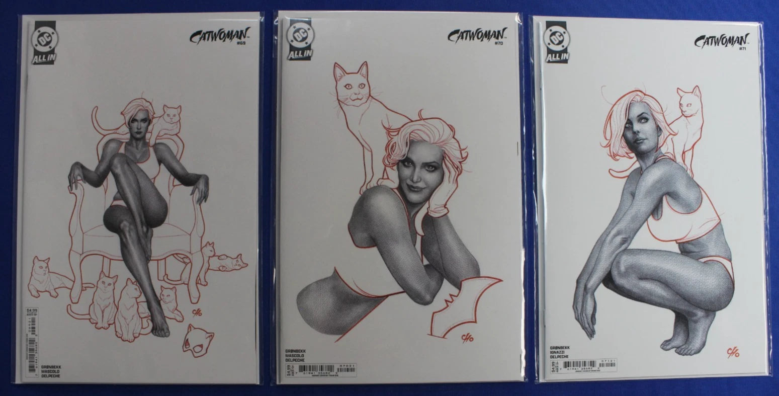Catwoman #69-71 Frank Cho Variants Set of 3 NM