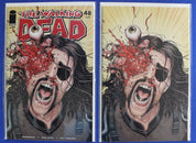 The Walking Dead Lot of 104 VF-VF/NM