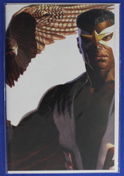 Lot of 25 Alex Ross Timeless Virgin Variants VF/NM