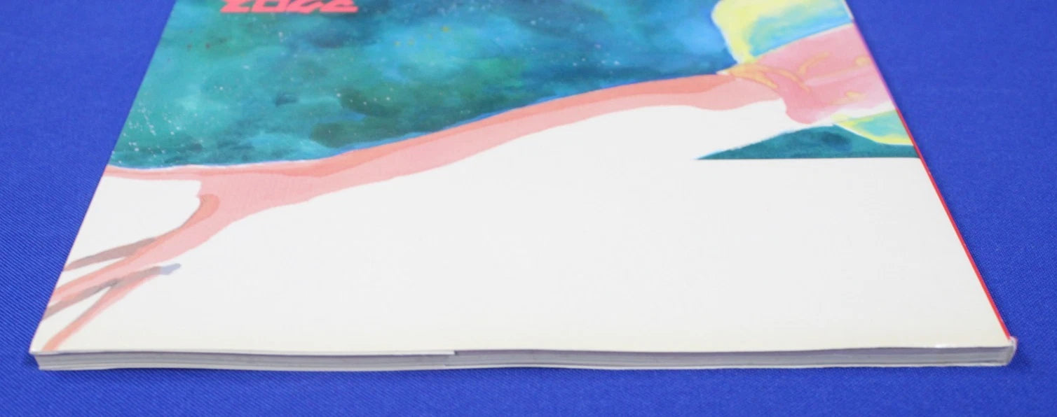Macross Perfect Memory and Graffiti 1983 Paperback Art Books