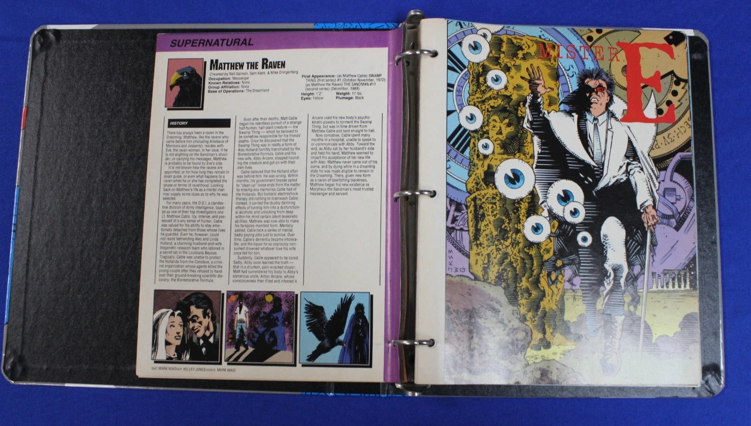 Who's Who in the DC Universe Lot of 2 Binders of DC Character and Data Sheets