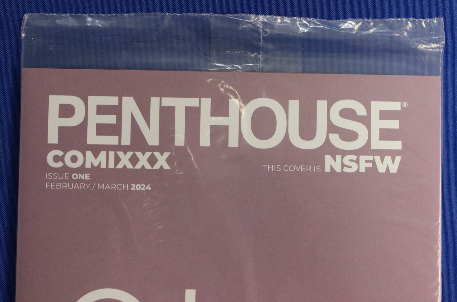 Penthouse Comics #1G Vanesa Del Rey Variant NM