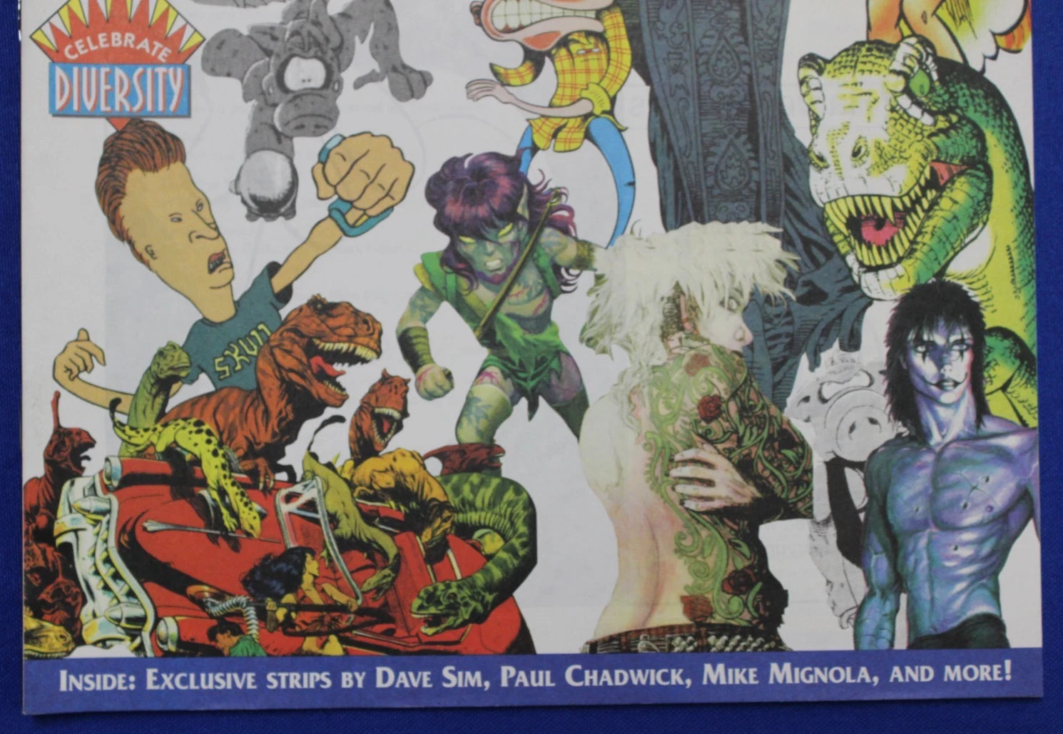 Celebrate Diversity Collector's Edition VF/NM