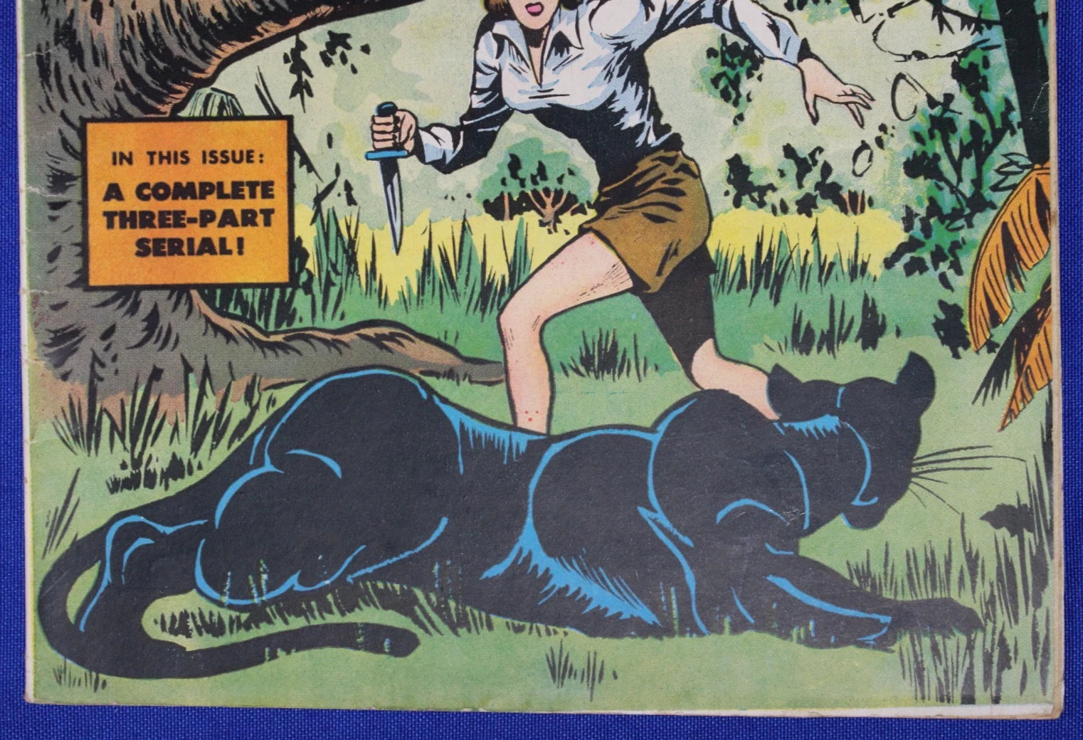 Nyoka the Jungle Girl #12 VG