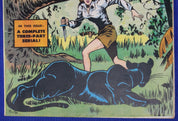 Nyoka the Jungle Girl #12 VG