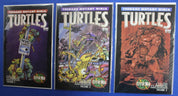 Teenage Mutant Ninja Turtles Color Classics Lot of 22 VF/NM
