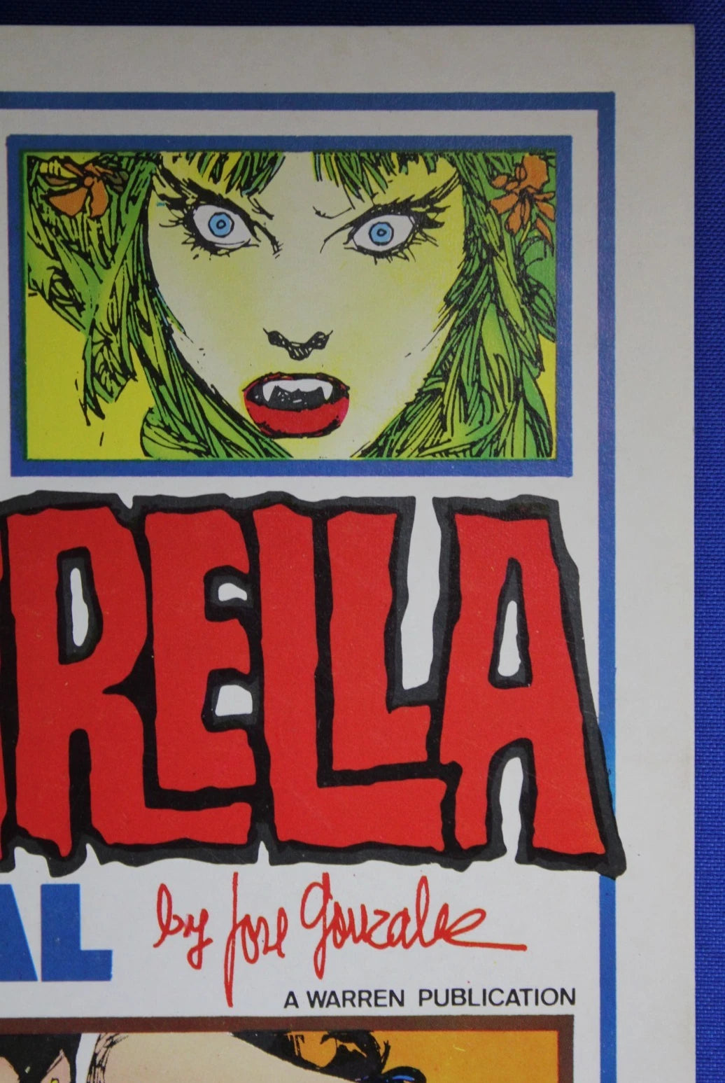 Vampirella Special by Jose Gonzalez (1977) - VF- (7.5)