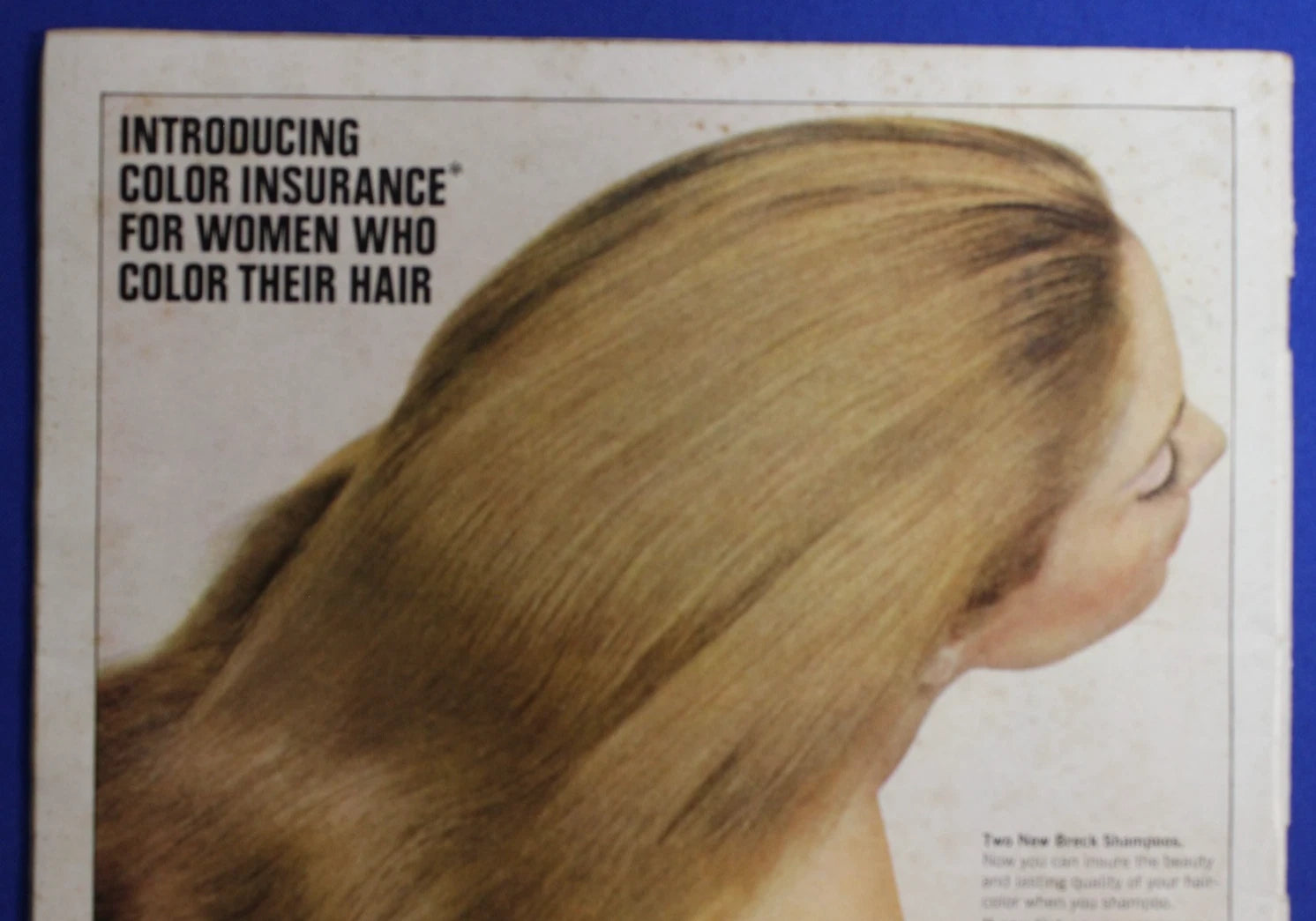 Southern Living Magazine October 1966