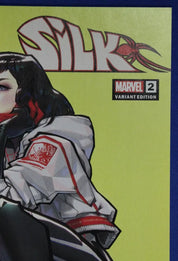 Silk #2 1:25 Rose Besch Variant NM