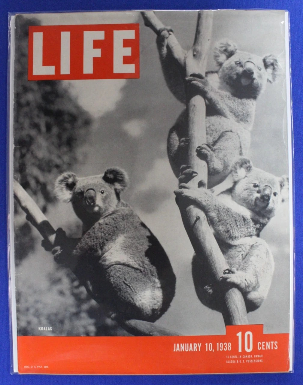 Life Magazine 1930s Lot of 66 GD-VG