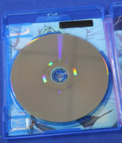 Freezing Season 1 & 2 Anime Complete Series Blu Ray Lot