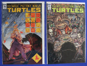 Teenage Mutant Ninja Turtles #1-108 + Extras Lot of 106 VF/NM
