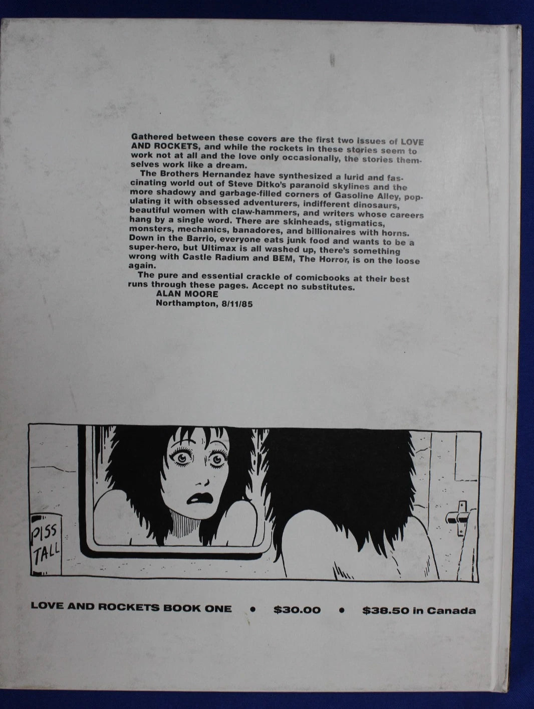 Love and Rockets Book 1 & 2 HC SIGNED by Hernandez Brothers