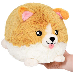 squish_mini_baby_corgi_7.jpg