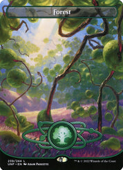 Forest - Land