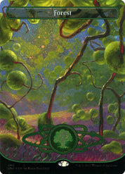 Forest - Land