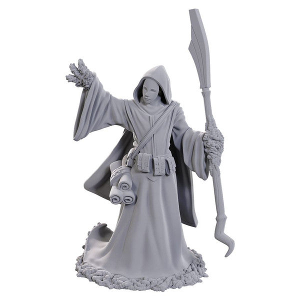D&D Nolzur's Marvelous Miniatures: Star Spawn Larva Mage