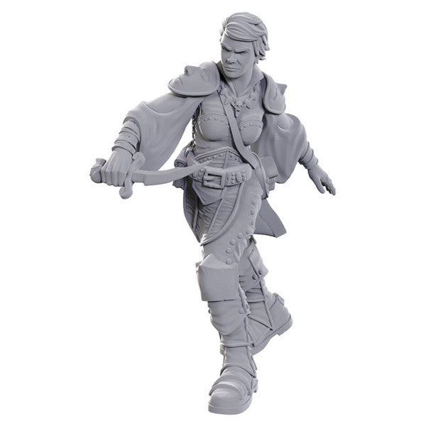 D&D Nolzur's Marvelous Miniatures: Swashbuckler