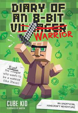 Diary of an 8 Bit Warrior