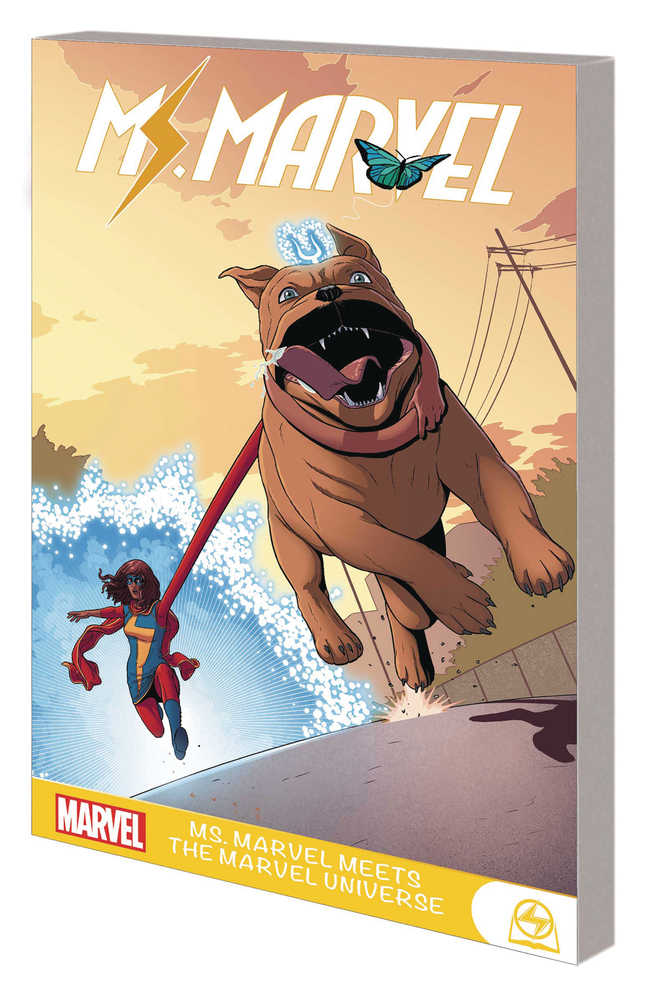 Ms Marvel Meets the Marvel Universe Graphic Novel TPB