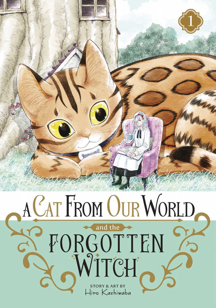 Cat From Our World & Forgotten Witch Graphic Novel Volume 01